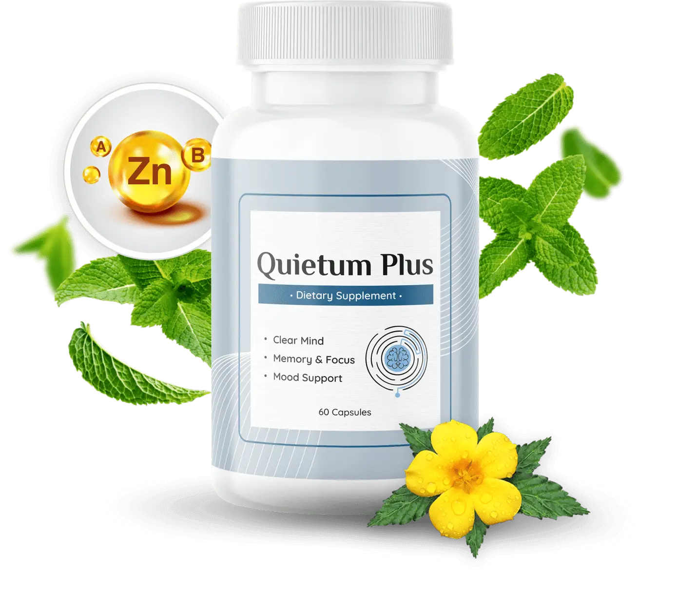 Buy Quietum Plus